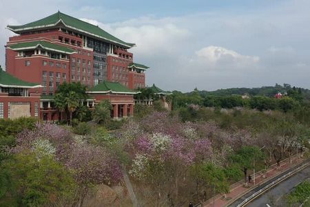 China Education Culture University Campus Guangzhou Private Tour