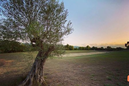 Half-Day Private Tour from Katakolon to Olympia & Beach 