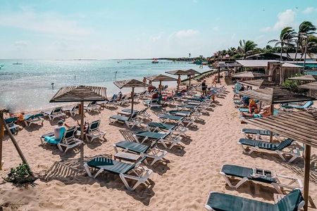 Bonaire 2 hour Island Tour & 2 hour Beach Stay