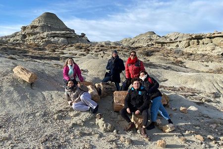 Discover La Leona Petrified Forest: Guided Hiking Tour