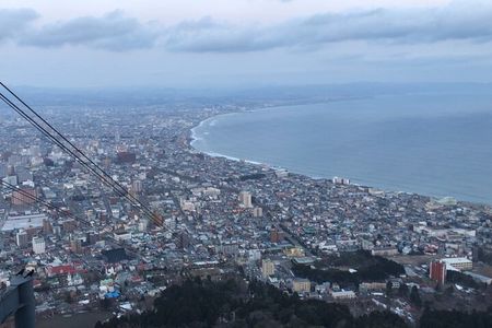 Half Day Hakodate Tour with Government Licensed English guide