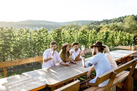Stancija Collis: A Winery Adventure Tour in Rovinj