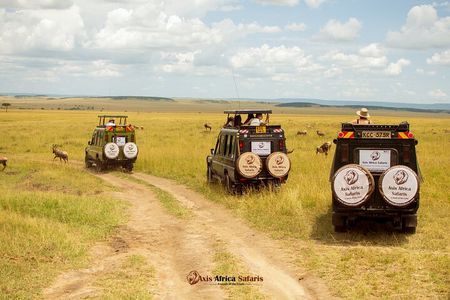 Masai Mara 3 Days Tour Safari Private 4WD Landcruiser 