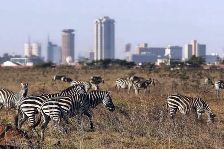 Private Tour Safari To Nairobi National Park