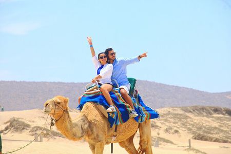 Camel riding experience on the shores of the Pacific Ocean