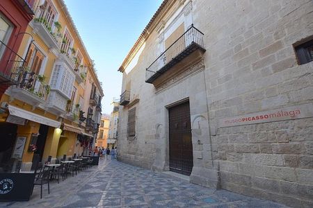 Skip-the-Line Picasso Museum Private Tour