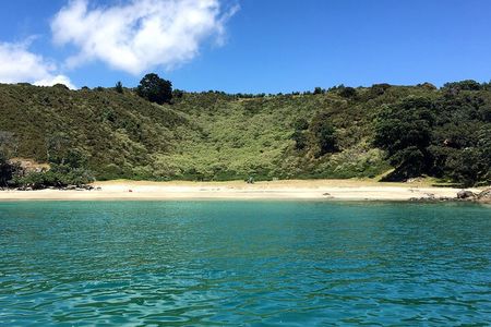 Waiheke Island Private Bush and Beach Walk