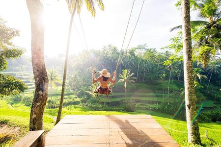 Ubud Full Day Tour Waterfall Monkey Forest Rice Terrace