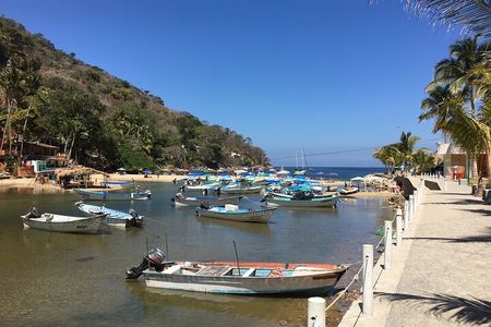 Remote Hidden Beaches Hike of South Shore (Puerto Vallarta)