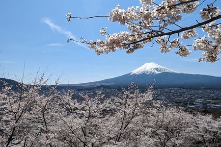 Private Car Tour to Mt. Fuji Lake Kawaguchiko or Hakone