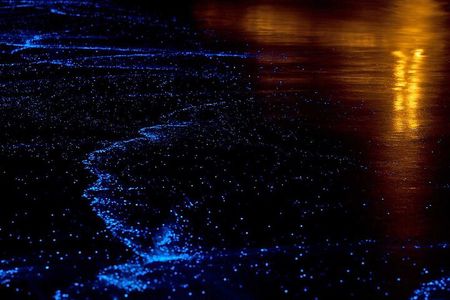 Twilight Sea Canoe Tour with Sea Cave Kayaking in Phang Nga Bay