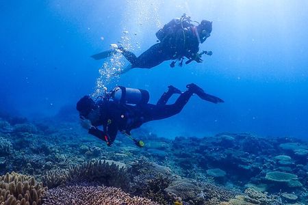Okinawa Scuba Diving For Certified Divers (3 boat dives + Lunch)