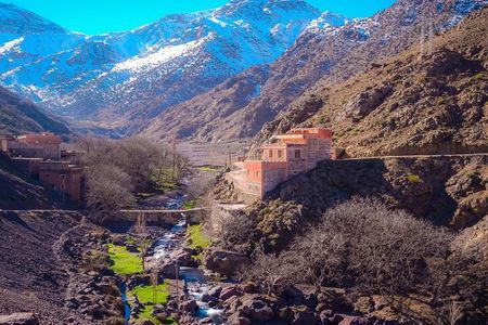 Agafay Desert and Atlas Mountain Tour with Camel Ride and Lunch