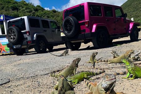 Guided Jeep Tour Exploring French and Dutch St Maarten