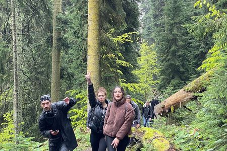 13 km hike in Borjomi - Group tour from Kutaisi