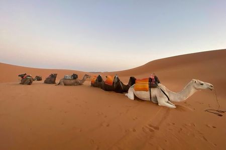 3-Day Fes to Marrakesh Desert Private Tour