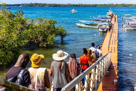 Dolphin Watch & Snorkeling at Kisite Marine Park & Wasini Island
