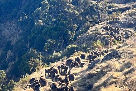 3 Day Simien Mountains Tours