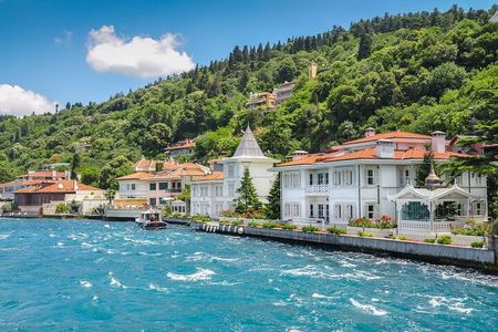 Daily Princes' Islands Tour with Lunch from Istanbul