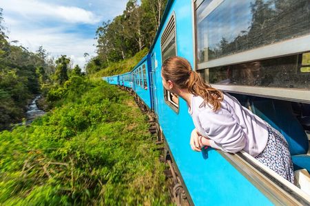 Sri Lanka tour 8 Days with a private driver, hotels, and vehicle