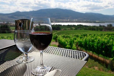 Guided Private Wine Tour through the Niagara Wine Trail