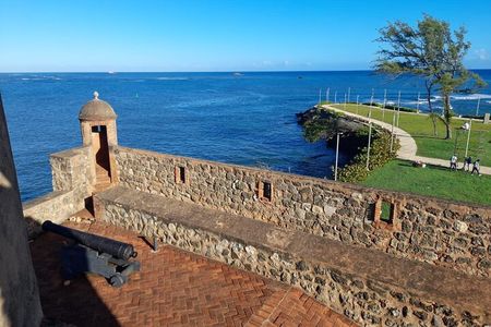 Mountain View and City Tours
