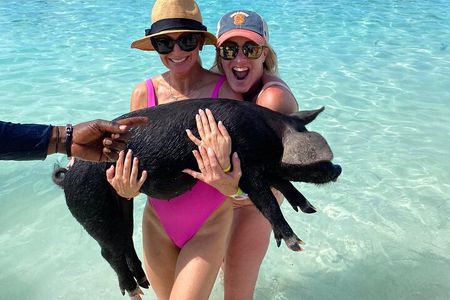 Private Rose Island ,Swimming Pigs, Snorkeling and Turtles