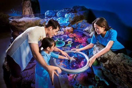 SEA LIFE Bangkok Ocean World and Madam Taussauds Entry Ticket