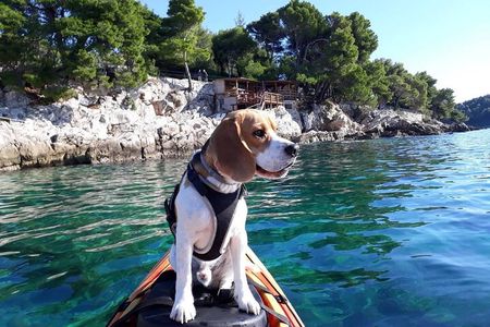 Guided Sea Kayaking Tour in Cavtat