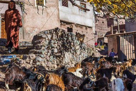  Full Day hike From Marrakech to atlas mountains with Berbers