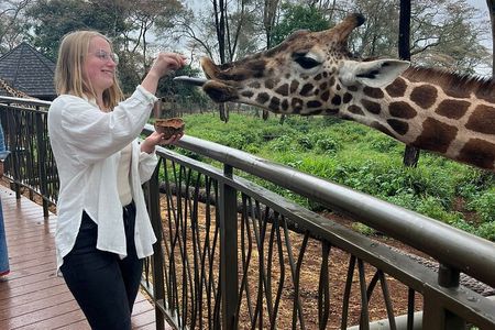 Nairobi National Park, Elephant Orphanage & Giraffe Center tour.