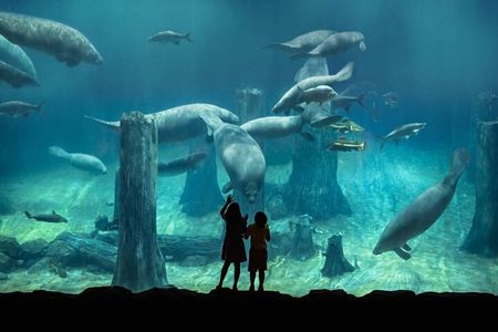 Singapore Zoo & River Wonder Day Ticket & Transfer 
