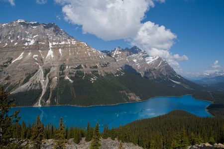 Full Day Tour-Johnston Canyon, Lake Louise, Peyto Lake,...