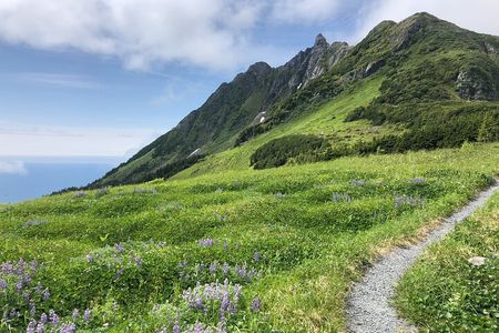 Private Guided Hike in Sitka, Alaska