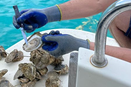 Ston Seafood & Pelješa Wine Boat Tour with Oysters and Mussels