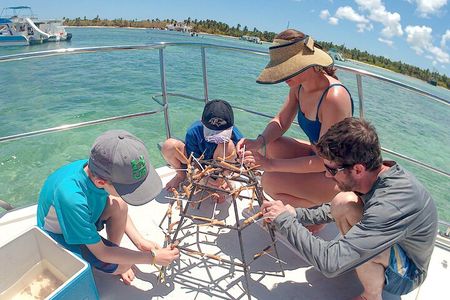 Snorkel Lovers for All Ages & Premium Seafood Lunch in Punta Cana