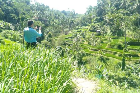 Best Of Ubud Waterfall Swing Private Guided Tour