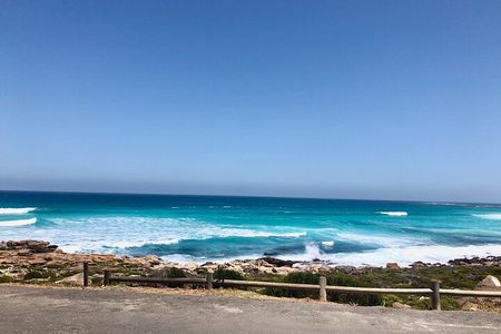  Private Tour to the Penguins and Cape Point, Cape Town