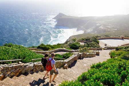 Full Day Cape Peninsula Tour