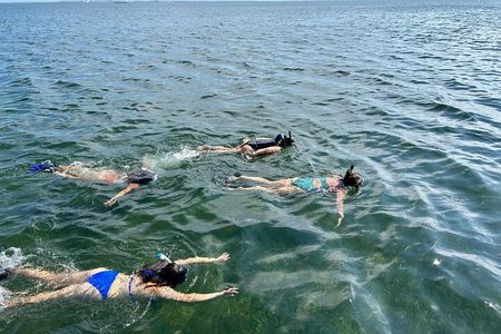 3 Hours Snorkeling Excursion in South Padre Island