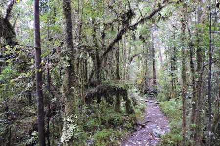 Parque Alerce Andino con sector Las Chaicas, PRIVADO