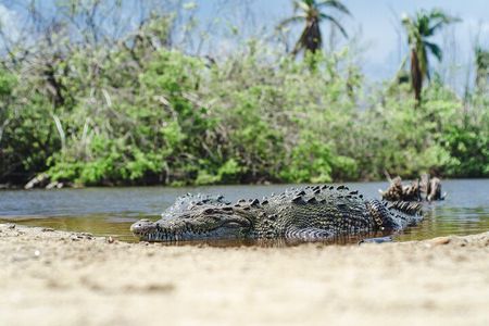 Half-Day Tour to Ventanilla, Mazunte, Zipolite and Puerto Angel