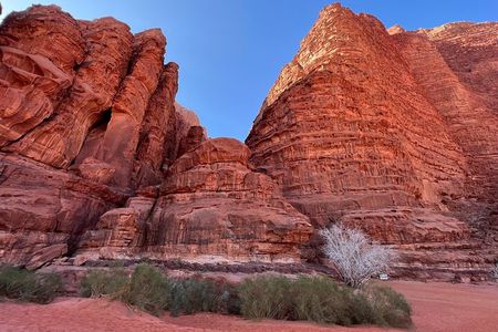 Private 1 Day Wadi Rum Desert Tour