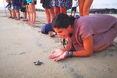 Olive Ridley Turtle Release Experience