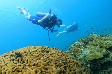 [GROUP] SCUBA DIVING for Certified Divers in Phu Quoc Island
