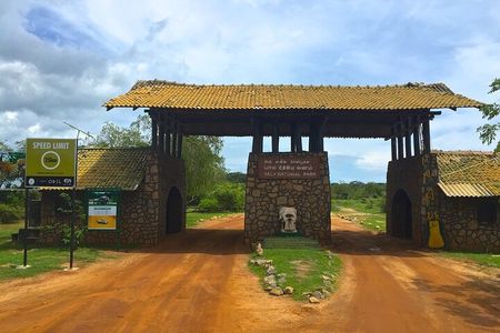 Day Excursion to Yala National Park From Colombo
