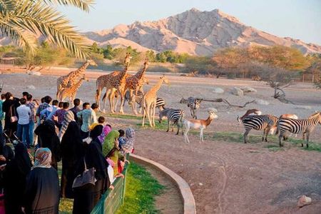 Private Al Ain Tour by 4x4 Vehicle with Zoo Tickets 