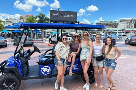 Local Guide Private Tampa City Tour by Custom Golf Cart