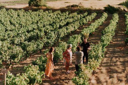 Kostantakis Winery - Milos Island Tour & Wine Tasting Experience