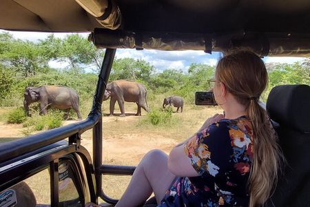 All Inclusive Udawalawe National Park Safari Day Tour from Colombo and Negombo